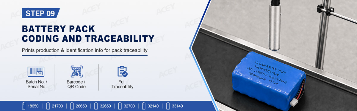 Battery Pack Coding and Traceability Battery Pack Coding and Traceability